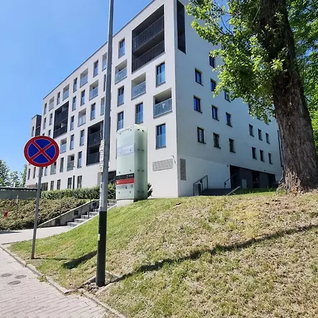 Chihuahua_apartaments * Kraków